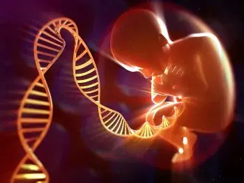 Epigenetica como la alimentacion cambia nuestros genes