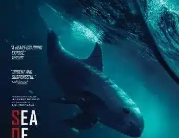 “Mar de sombras”: La extinción de la vaquita marina