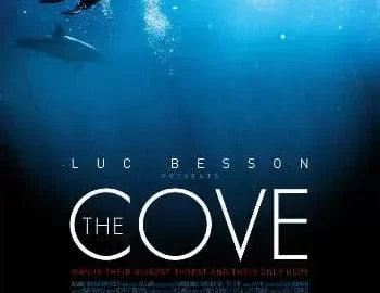 The Cove