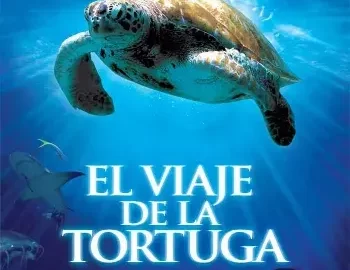 El increíble viaje de la Tortuga